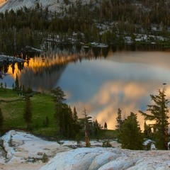 عشقتك عشقي ماصاير السيد محمد الموسوي