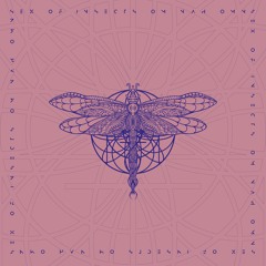 Sex Of Insects — Om Nah Omn (dOP Remix)