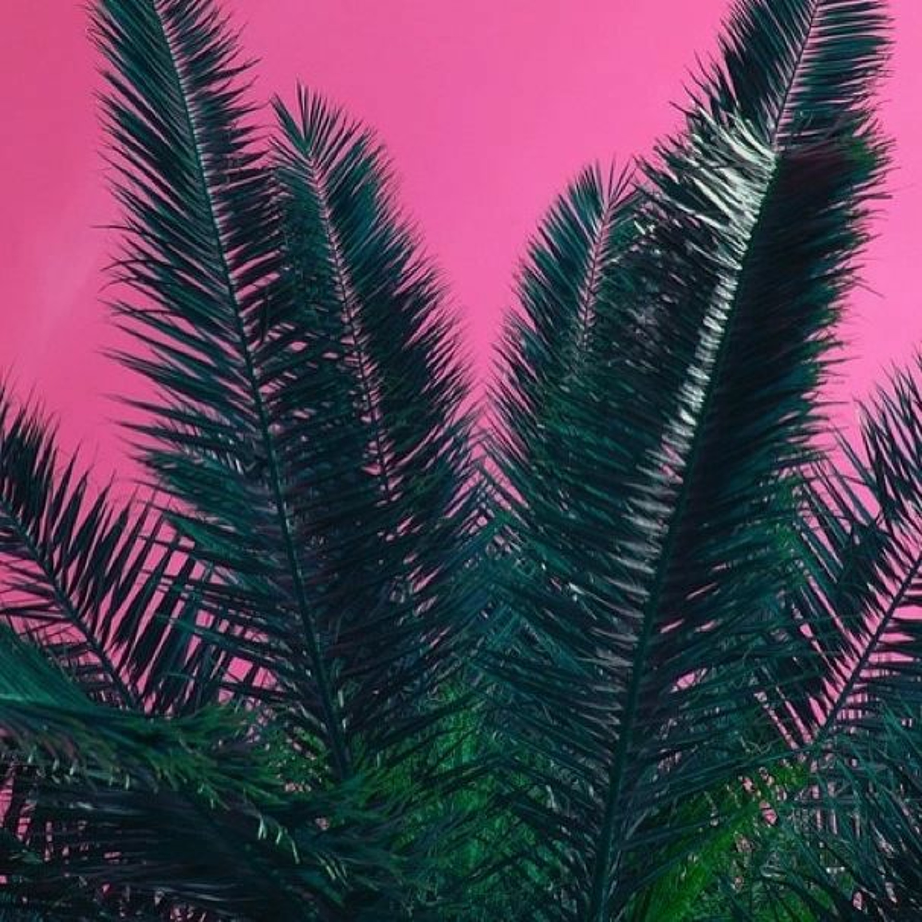 I'm Trying episode artwork