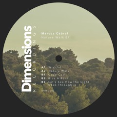Marcos Cabral - Nature Walk EP (DIREC006)