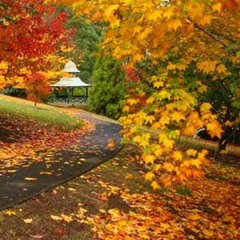 Autumn Leaves Intro