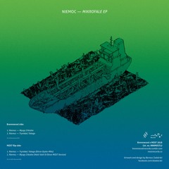 Niemoc - Wyspy Chłodne (Hatti Vatti & Eltron MOST Version) [snippet]
