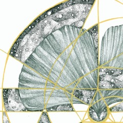 Quantum Mind