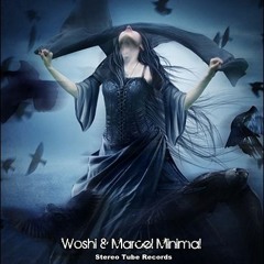 Evanecence - My Imortal (Woshi & Marcel Minimal Bootleg )FREEDL