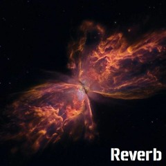 Reverb 04