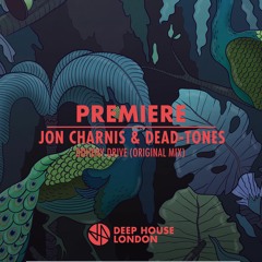 Premiere: Jon Charnis & Dead-Tones - Doheny Drive (Original Mix) [Klassified Music]
