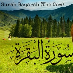رعد بن محمد الكوردي سورة البقرة ٩٣-١       Raad AlKurdy Surah Baqarah (The Cow) 1-93