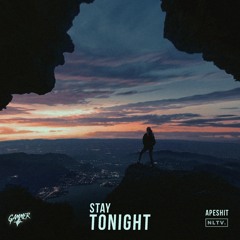 Gammer - Stay Tonight (TYREZ FLIP)