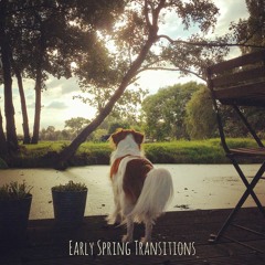Sandeep - Early Spring Transitions