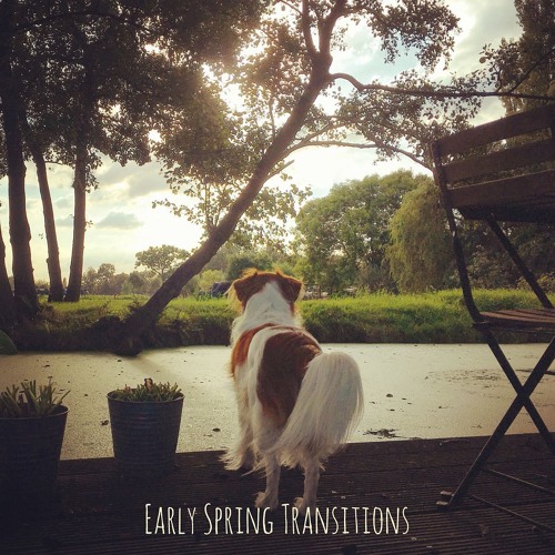 Sandeep - Early Spring Transitions