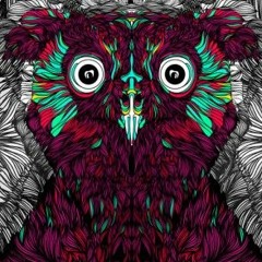 The bird of wood -147 BPM