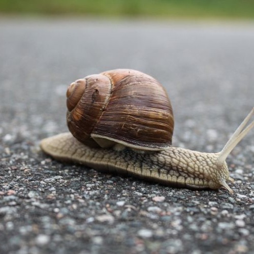 sahbabii - Geronimo slowed to perfection