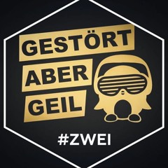 Gestört aber Geil feat. LEA - Wohin Willst Du (Cover Sky Jumper feat. Karla)