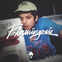 Flamingosis - Sittin' Sideways Mix (Full Interview in Bio)