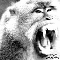 The Cosmos - Monkey Claw [Free Download]