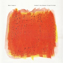 Premiere: Manos Tsangaris - Elephant's Easy Moonwalk Through The Night