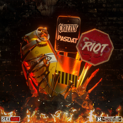 Crizzly X Pasdat - RIOT