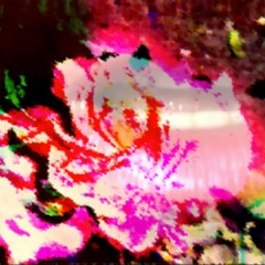 You Must Believe In Spring - Cover