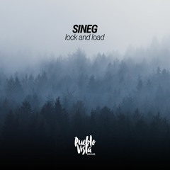 Sineg͏͏͏͏͏ & zmeyev  – PM 17:46