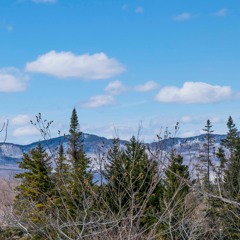 (MAPLE Ethos #10) Culture Steers History