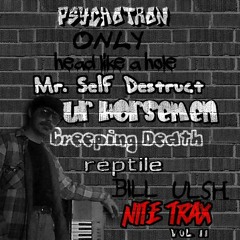 Psychotron (Megadeth cover)