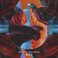 Vintage Culture, KRIEGER - Need U (Extended Mix)