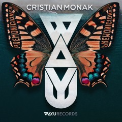 Cristian Monak - El Viajero (Original Mix)