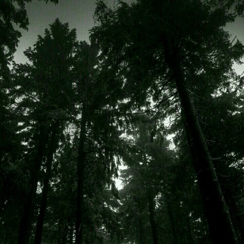 Untitled Playlist