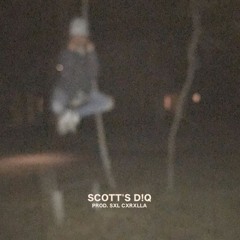 SCOTT'S D!Q