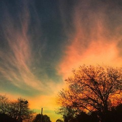 Sunset Idea Rough Draft