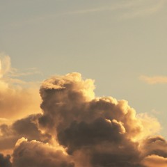 Flying