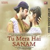 Tu Mera Hai Sanam Mymp3song Org Mp3