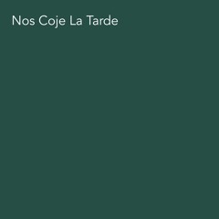 The Bongo Hop - Nos Coje La Tarde (feat. Pao Barreto) [.pastel Edit]