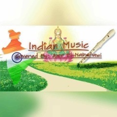 Indian Music - Covered By Amr Elnabarawi