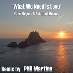 What We Need Is Love (Remix)Preview