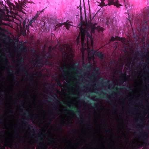 zeroplusplasebo/numbers in the dream - Not A Heaven