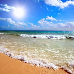 By The Sea by Alan Johnson