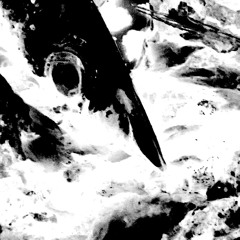 Koeter (Iggy Hommage/Cover)