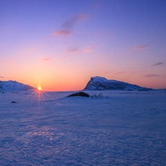 Tundra