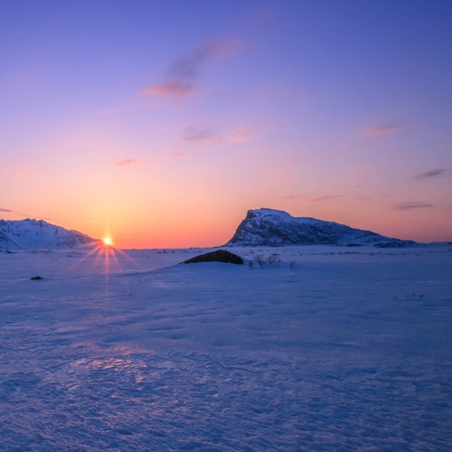 Tundra