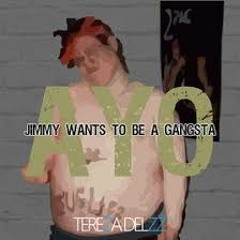 Tereza Delzz - Jimmy Wants to Be a Gangsta (AYO) (To The Point Remix)