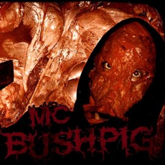 MC Bushpig - Spray the Brown Mist