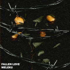 Fallen Love