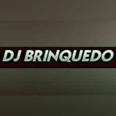 MC AMARAL - NO PORTE UMA PICA PAU NA ORELHA UM BALÃO [[ DJ BRINQUEDO ]]