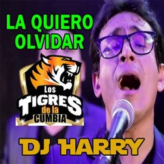 128 - LOS TIGRES DE LA CUMBIA - La Quiero Olvidar [ !Harry - Mix! ]