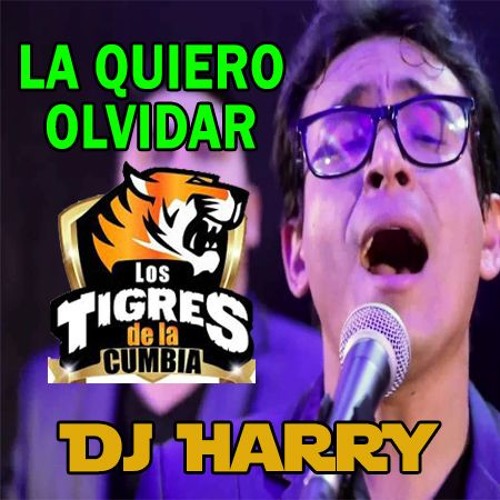 128 - LOS TIGRES DE LA CUMBIA - La Quiero Olvidar [ !Harry - Mix! ]
