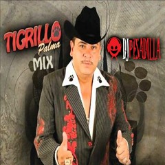 Tigrillo Palma Corridos Mix - Dj Pesadilla