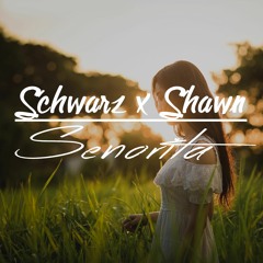 SCHWARZ x SHAWN - SENORITA[BrotherSquad] 2018