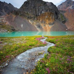 the stream