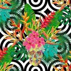 Tropical House Vol 2 ' New Vibes Set